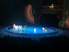 -珠海横琴长隆《卡卡虎奇遇记》