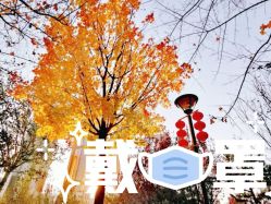 -大望京儿童游乐场