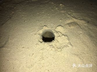 {叫我红领巾}端午时节去哪儿，海信褥羊毛走一波。