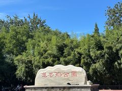 -莲花池公园