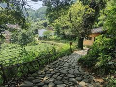 -杨家堂村