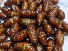-渔码头食府·20年蓬莱老字号(登州路店)