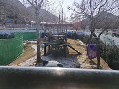 -西霞口神雕山野生动物世界