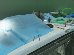 -宠爱国际动物医院·疑难骨科·心肾内科·皮肤科(太阳宫店)