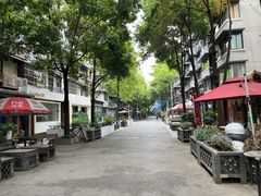 -泡桐树街