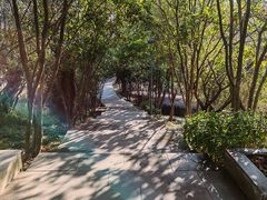-金鸡山公园