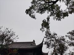 -游子山休闲旅游区