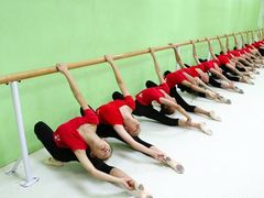 -舞蕾舞蹈(特长生校区)