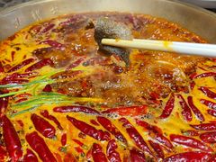 小龙坎毛肚-小龙坎火锅(全球总店)