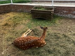 -丽泽山庄·生态怀柔菜·虹鳟鱼(红螺寺店)