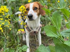 -中国天府农业博览园