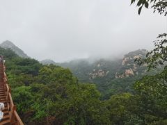 -大岭沟猕猴桃谷风景区