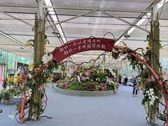 -上海鲜花港