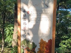 -北京鹫峰国家森林公园