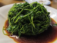 -苏州太湖国际会议中心