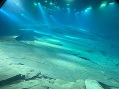 -白鹤梁水下博物馆