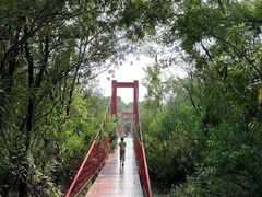 -上海吴淞炮台湾国家湿地公园