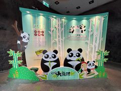-石排湾郊野公园