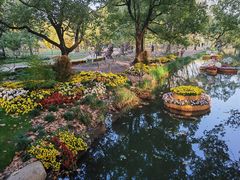 -上海共青森林公园