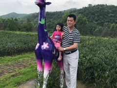 -清远熹乐谷温泉度假酒店