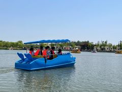 -上海长兴岛郊野公园