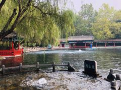 -百脉泉景区