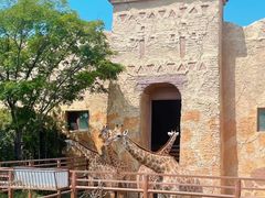 -郑州银基国际旅游度假区