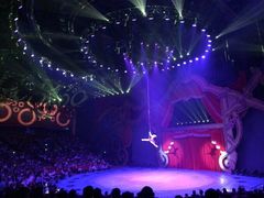 -珠海横琴长隆《卡卡虎奇遇记》