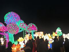 -黄龙溪欢乐田园
