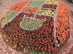 -南通洲际绿博园