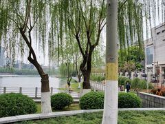 -后襄河公园