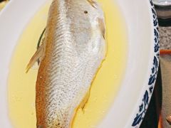 鸡汁白鱼-南京大牌档(济南万象城店)