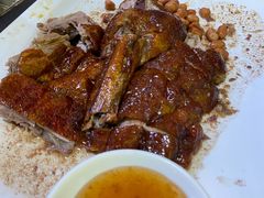 -石岐乳鸽村(桥观坊南四巷店)