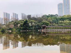 -龙头寺公园