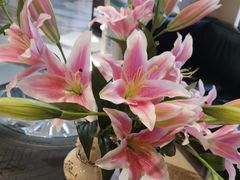 -燕郊烧鸽子(酷车小镇店)