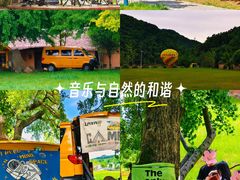-千年银杏谷文化旅游区