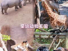 -长鹿旅游休博园
