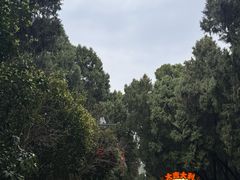 -七曲山风景区