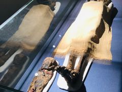 -浙江西湖美术馆