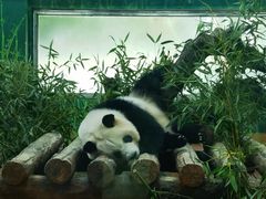 -广州动物园
