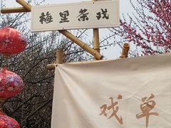 -香雪海