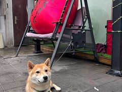 -后海16号·北京私房菜