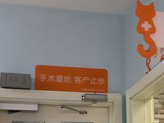 -纳吉亚猫专科动物医院博雅分院