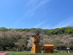-苏州上方山国家森林公园