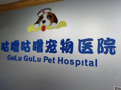 -咕噜咕噜宠物医院·CT·肿瘤科·骨科(前海院)