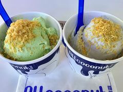 -蔻蔻椰·鲜萃椰子水(COCO Park店)