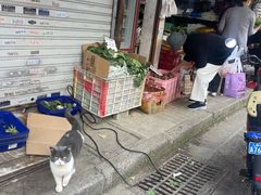 -古徽州馄饨店(宝安路店)