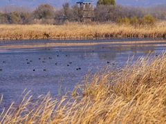 -野鸭湖国家湿地公园