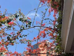 -鹅滋道(甘坑古镇店)