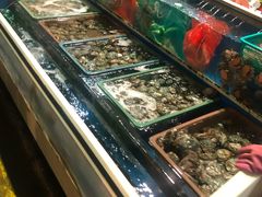 -西归浦每天偶来市场